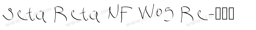 Seta Reta NF W05 Re字体转换